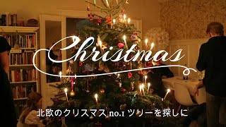 北欧のクリスマス No.1 お気に入りのツリーを探しに (デンマーク）北欧の暮らしとアンティーク雑貨をめぐる旅 ＃18