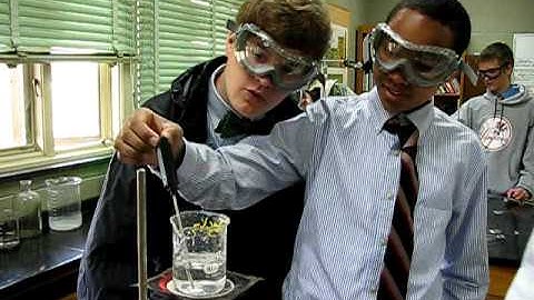 Colligative Properties!!