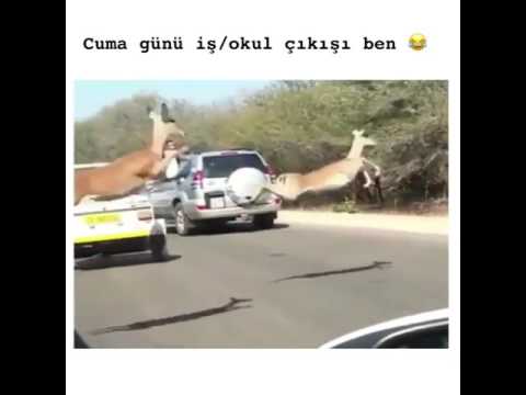 Cuma günü okul çıkışı ben