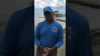 8Fa02537 726A 4759 8902 Df727D543819