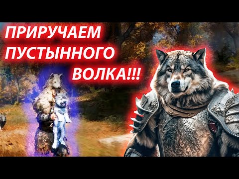 Видео: КАК ПРИРУЧИТЬ ЦАРЯ ВОЛКОВ!!! MYTH OF EMPAIRS