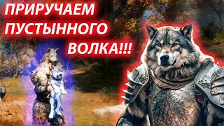 КАК ПРИРУЧИТЬ ЦАРЯ ВОЛКОВ!!! MYTH OF EMPAIRS