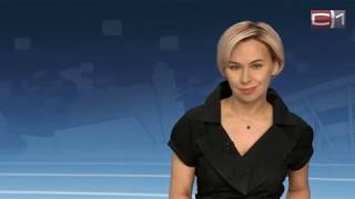 Любите собак, но домочадцы против? У сургутян есть возможность взять пса "в аренду" для прогулки Любите собак, но домочадцы против? У сургутян есть возможность взять пса "в аренду" для прогулки