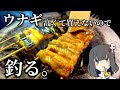 ウナギ釣って七輪で蒲焼にしましゅ!!