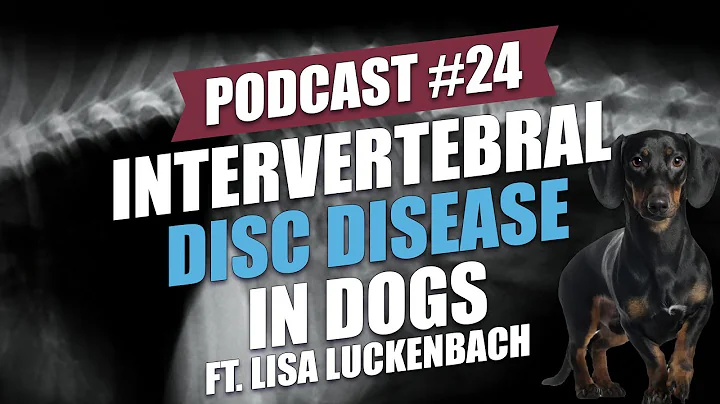 TOP #24: Intervertebral Disc Disease in Dogs ft. L...