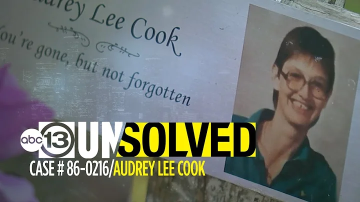 UNSOLVED: Audrey Lee Cook
