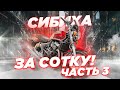 Сибиха за сотку #3. Восстанавливаем, финальный результат. Дата розыгрыша.