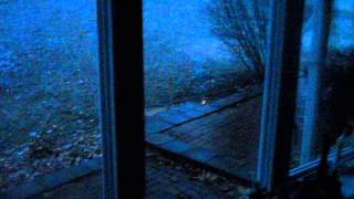 February 8th, 2012 Snow Part 9/16