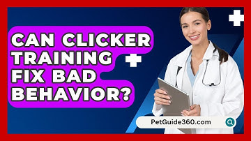 Can Clicker Training Fix Bad Behavior? - PetGuide360.com