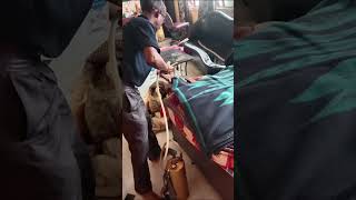 Bed Bugs Pest Control Near Me Kolkata | 100% Guaranteed Bed Bug Treatment | TPS Pest Control