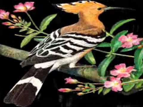 من هاهنا بدأنا