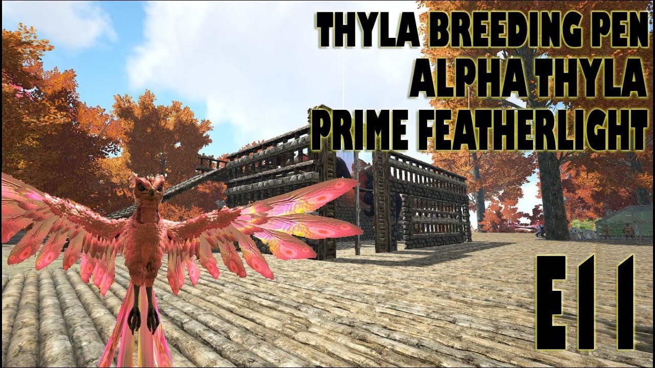 All The Taming// Alpha Thyla Taming// Prime Featherlight// Alpha Rex??