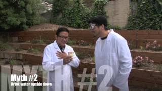 Mythbusters Week 1