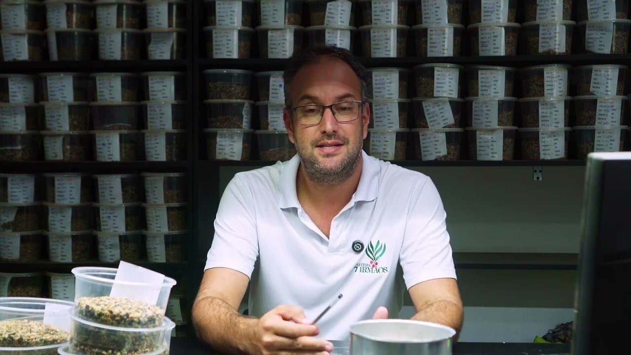 Anysort e Cafeeira 7 Irmãos