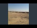 شراب الويدان
