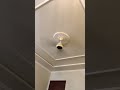 Arora fan