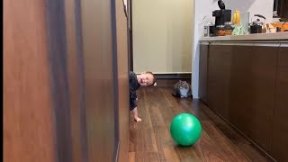 娘のクセの強い『いないいないばあ』を目撃する猫　ノルウェージャンフォレストキャット　Cat witnessing various peekaboos of owner's daughter