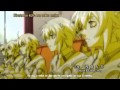 Chrome Shelled Regios Opening