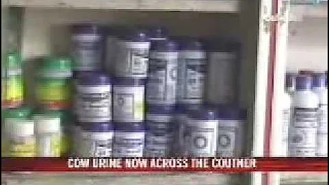 India to Launch Cow Urine As Soft Drink (no, I'm not making that up)