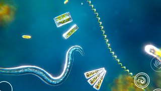 Bionix Spore & Bacteria Evolution Simulator 3D Android gameplay screenshot 4