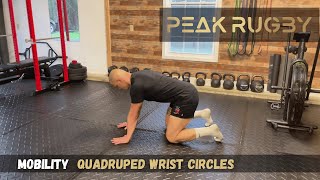 How to Do Quadruped Wrist Circles | Improve Wrist Mobility & Joint Health