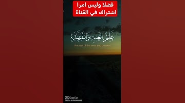 القرآن الكريم #دويتو #اكسبلور #duet #تيك_توك #فولو #لايك #راحة_نفسية #في #حالات_واتس #رمضانمبارك
