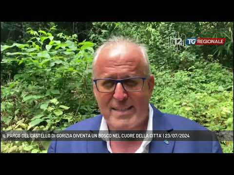 IL PARCO DEL CASTELLO DI GORIZIA DIVENTA UN BOSCO NEL CUORE DELLA CITTA' | 23/07/2024