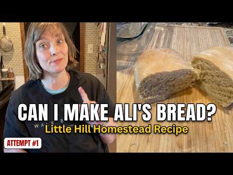I Tried Ali's Perfect Sandwich Bread from@LittleHillHomesteadGa  Did It Work?