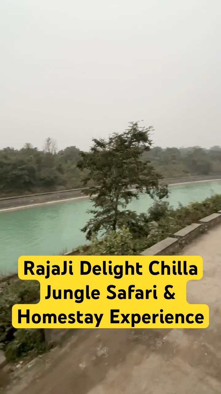 Safari Done ✅ Night Stay Near Ganga 😱 Rajaji Delight Chilla #wildlife #wildliferescue #animals
