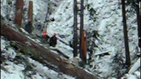 Basco Logging....Fishin for a Big Fatty.....