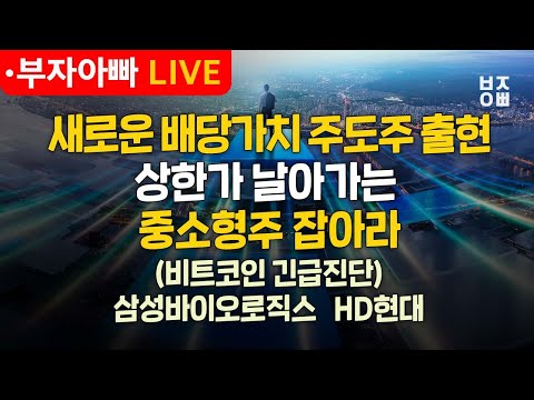새로운 배당가치 주도주 출현 상한가 날아가는 중소형주 잡아라(비트코인 긴급진단)ㅣ종목진단ㅣ삼성전자, <strong>HD현대</strong>, 삼성바이오로직스, 현대로템, 삼성증권, 엔비디아, 테슬라, GS건설