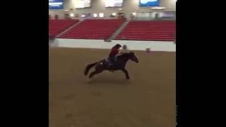 Patrick Stevens and Texas