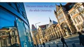 Student Reps at the Heart of the Union