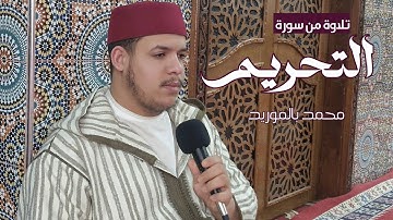 تلاوة محبرة من سورة التحريم | محمد بالموريد