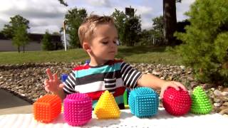 Sensory Shapes