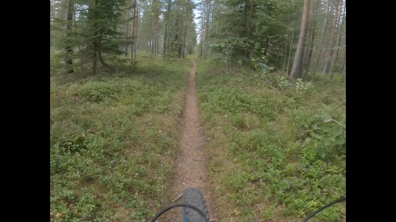 Juustoilves (Juustopolku - Ilvespolku) – MTB-reitti