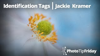 Identification Tags with Jackie Kramer | Photo Tip Friday
