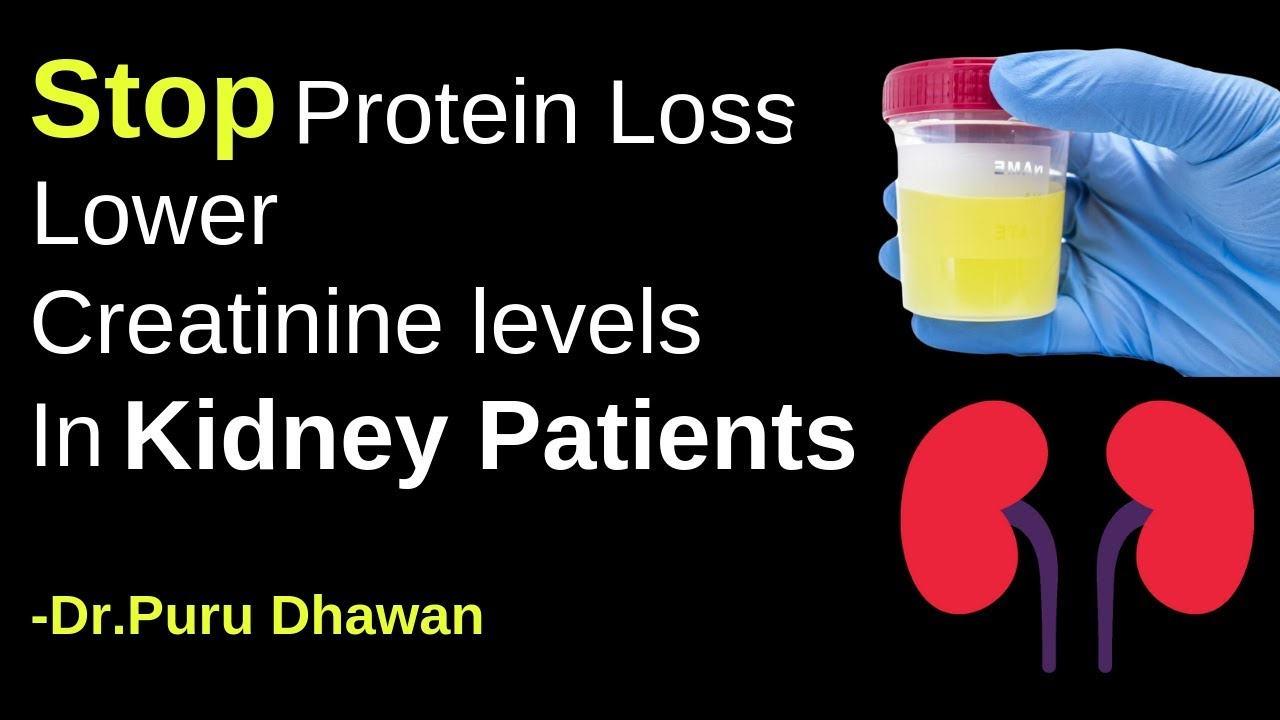 Stop Protein Loss & lower Creatinine levels in Kidney Patients - Sai Sanjivani Reviews - YouTube