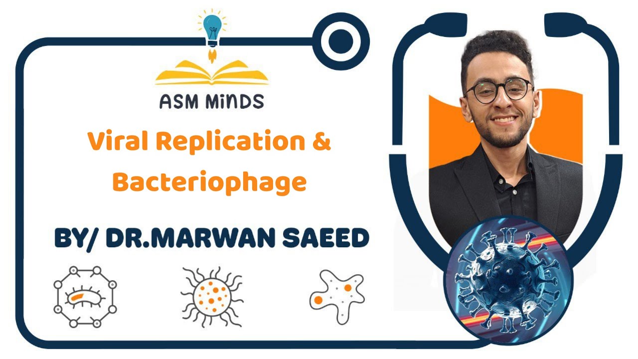 4-Viral Replication & Bacteriophage Microbiology by Dr.Marwan Saeed