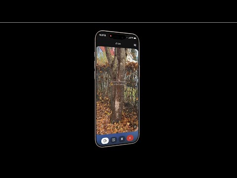 Clone the Gemini Live App in Python