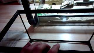 Tuto#7: Comment transformer un aquarium en un terrarium