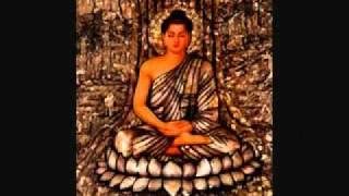 Buddha Wisdom.flv