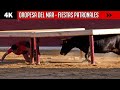 4K ▪ OROPESA DEL MAR ▪ Desafío HILARIO PRINCEP 🆚 HNOS. CALI ➡️ Toro de MONTEALTO