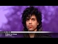 Prince - Purple Rain Tribute Cover by Mixed Pack