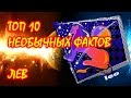 ТОП 10 необычных фактов о Знаке Зодиака Лев