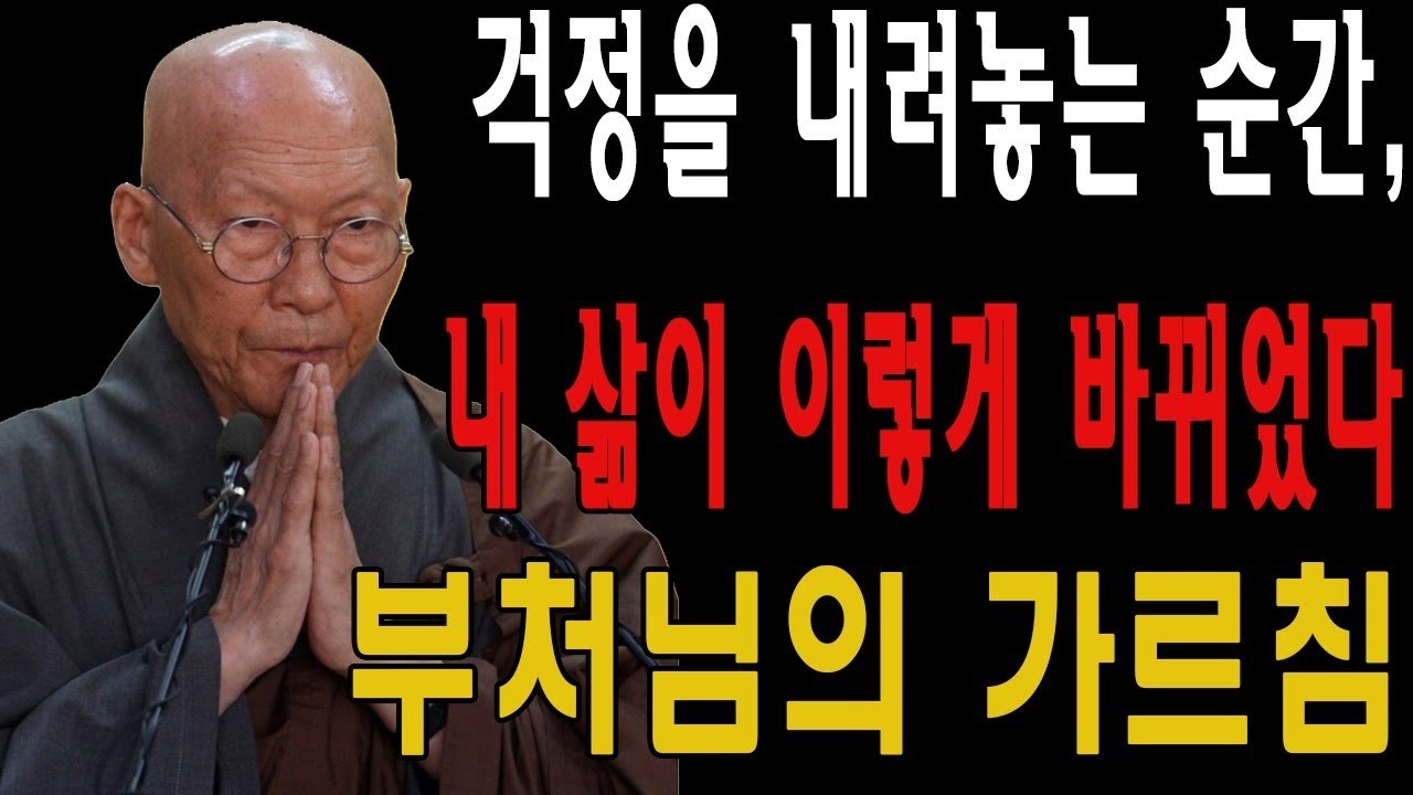 걱정을 내려놓는 순간, 내 삶이 이렇게 바뀌었다 – 부처님의 가르침    법정 스님 지혜   불교   인생명언   평온한 삶   무소유   행복한 노후