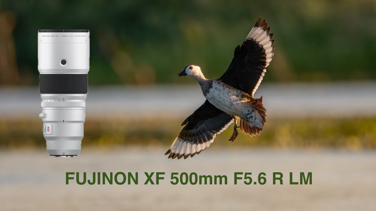 Fujifilm XF 500mm f5.6 lens + X-H2S - YouTube