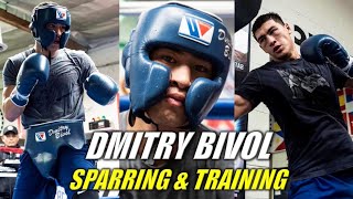 Dmitry Bivol Sparring & Training