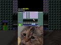chipi chipi chapa chapa #cat #cute #chipichipi #supermariomaker2 #shorts
