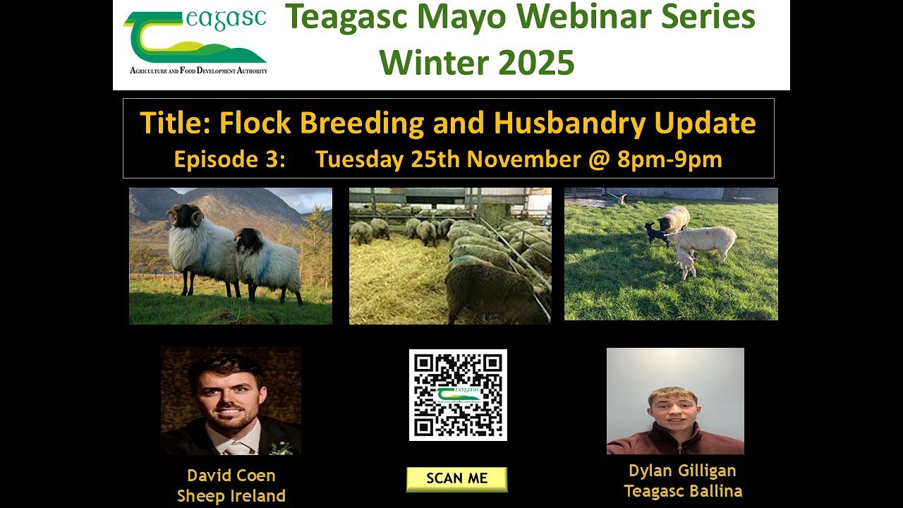 Winter Webinar (Sheep Husbandry and Breeding update)